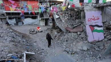 ترامب يرحب بالخطة العربية بشأن غزة.. هل ستقوم إسرائيل بتغيير المعادلة؟