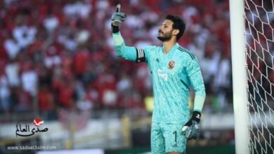 مفاجأة.. الشناوي لم يجدد عقده مع الأهلي واحتمالية رحيله عن النادي