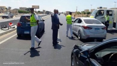 الإستعلام عن مخالفات المرور 2025.. جميع الطرق متاحة مجانا