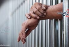 السجن من 3 لـ 7 سنوات على متهمين قتلوا راعي أغنام في الشرقية