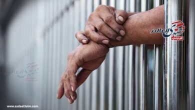 السجن من 3 لـ 7 سنوات على متهمين قتلوا راعي أغنام في الشرقية