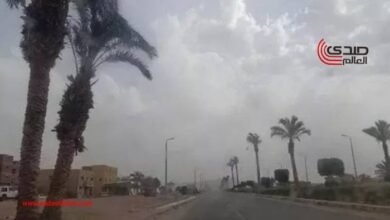 هيئة الأرصاد تكشف توقعات الطقس اليوم مع فرص لسقوط الأمطار