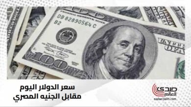 سعر الدولار اليوم مقابل الجنيه المصري الخميس 24 أبريل بعد التراجع الأخير