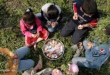 شم النسيم 2025.. اعرف موعد الإجازة الرسمية؟