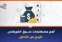 أهم المصطلحات في سوق الفوركس يجب معرفتها للربح من التداول
