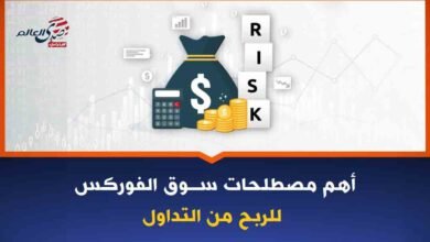 أهم المصطلحات في سوق الفوركس يجب معرفتها للربح من التداول
