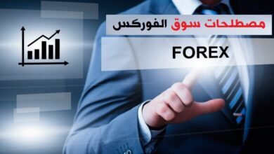 أهم مصطلحات سوق الفوركس للربح من تداول العملات